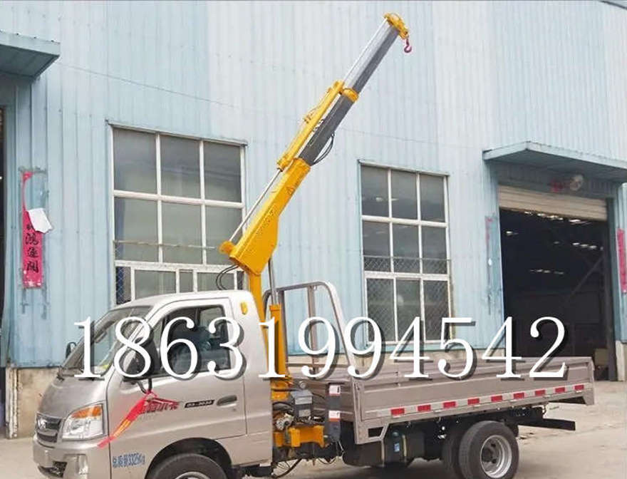 揭西县车载吊机220v移动吊机揭西县附近1/2吨吊机装卸货物小吊机220V揭西县附近车载吊机